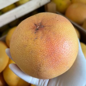 Grapefruit 4 kg Netz