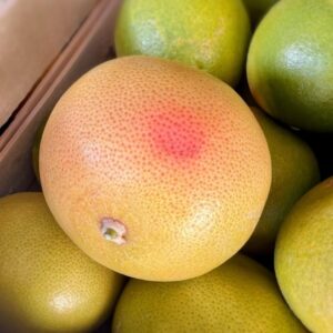 Grapefruit